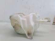 Fensterwaschtank NISSAN MICRA II (K11) 1.0 i 16V