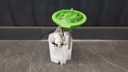 Kraftstoffpumpe VW Passat B7 Alltrack (36, B7) 3Q0919051G