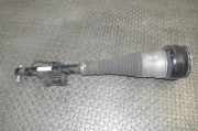 Pneumo-Stoßdämpfer hinten links MERCEDES-BENZ S (W222, V222, X222) S 350 BlueTEC / d (222.132, 222.032, 222.123) a2223201700