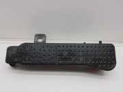 Kraftstoffdampffilter (EVAP) PEUGEOT 2008 II 1.2 PureTech 130 9829656180