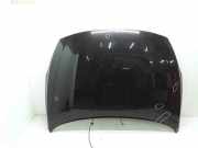 Motorhaube Volvo S60 II (134)