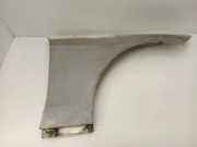 Kotflügel rechts vorne Mercedes-Benz E-Klasse (W212)