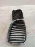 Gitter Grill vorne links BMW 5 Touring (E39) 530 d 2497261