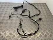 Türverkabelung hinten rechts