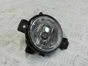 Blende Nebelscheinwerfer BMW X5 (E70) 7184318