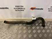 Schlauch Kühlung FIAT DUCATO Furgon (250_, 290_) 100 Multijet 2,2 D