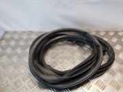 Türgummi links vorne Toyota Land Cruiser (J12)