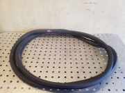 Türgummi links vorne VW Passat B7 (362) 3C4867911B