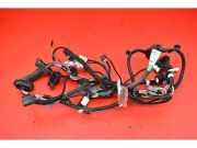 Kabelbaum Tesla Model S (5YJS) 200442400B