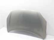 Motorhaube Renault Koleos I (HY) 651000024R