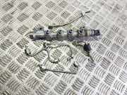 Einspritzleiste Opel Zafira Tourer C (P12) 0445214221