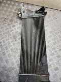 Ladeluftkühler NISSAN NP300 NAVARA (D40) 3.0 dCi 4WD ADC12