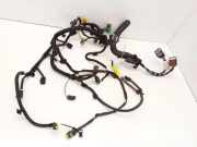 Motor Kabelbaum CITROËN C5 I Break (DE_) 2.0 16V (DERFNF, DERFNC, RERFNC) 9678362080 9655929980