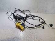 Kabelbaum BMW X5 (G05) (G05, F95) 8714175