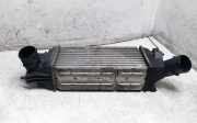 Ladeluftkühler PEUGEOT 407 Coupe (6C_) 2.0 HDi 874823NK