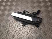 Türaußengriff vorne links