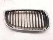 Vorderer oberer Gitter BMW 1 (E87) 116 d 22405910 1680061011