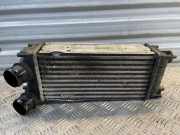 Ladeluftkühler CITROËN DS5 1.6 HDi 110 9684212480