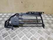 Vorderer oberer Gitter AUDI A3 Cabrio (8V7, 8VE) 1.4 TFSI 8V4853950