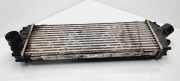Ladeluftkühler Nissan Primastar Kasten (X83) 8200411160C