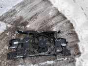 Armaturenbrett RENAULT MEGANE III Hatchback (BZ0_) 1.6 dCi (BZ00, BZ12) 100028205
