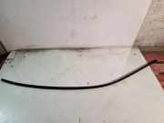 Dachleiste links BMW 5 (F10) 535 d 7238256 8032617