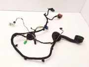Kabel Tür vorne rechts PEUGEOT 607 (9D, 9U) 2.7 HDi 24V 9655551380