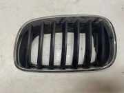 Vorderer oberer Gitter BMW X5 (E70) xDrive 30 i 7171395