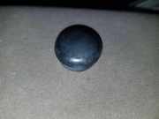 Grill Windlauf BMW 5er Touring (E39) 1383432