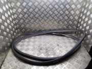 Türgummi links vorne Nissan Leaf (ZE0)