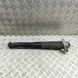 Stoßdämpfer hinten links VW ID.4 (E21) PURE 1EA512013BC