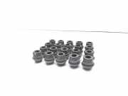 Schrauben FORD C-MAX II (DXA/CB7, DXA/CEU) 1.6 TDCi