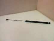 Heckklappe Gasdruckfeder links RENAULT LAGUNA II (BG0/1_) 1.9 dCi (BG05) 8200000902B