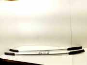 Dachreling links Volvo V40 Schrägheck (525, 526) 31385000