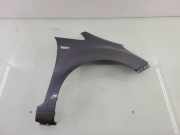 Kotflügel vorne links VW TRANSPORTER VI (T6) Flatbed (SFD, SFE 2.0 TDI