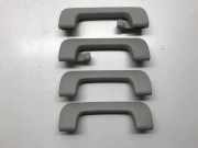 Dachgriffset (innen) AUDI A6 Avant (4F5, C6) 2.0 TDI 8P0857608A