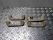 Griff Panoramadach Volvo S80 II (124)