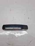TÜRGRIFFKAPPE TÜRGRIFFBLENDE HINTEN AUDI A6 (4F2, C6) 3.0 TDI quattro 4F0839239B