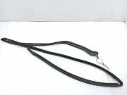 Türgummi links vorne Cadillac Seville ()