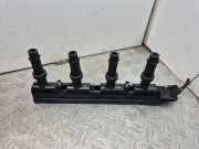 Zündspule Opel Meriva B () GN10401
