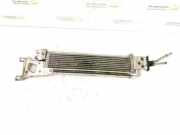 Servolenkungskühler MERCEDES-BENZ C (W204) C 320 CDI 4-matic (204.089)