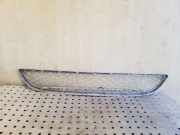 Gitter vorne unten BMW X6 (E71, E72) xDrive 30 d 51117176282