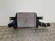 Ladeluftkühler CITROËN C4 AIRCROSS 1.6 HDi 115 1607695880