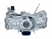 Motor ohne Anbauteile (Benzin) Subaru XV (GP) 10100CB590