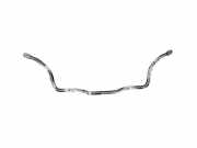 Stabilisator vorne Renault Kangoo II Rapid (FW0)