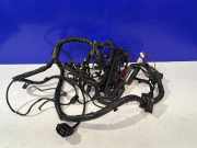 Kabelbaum MERCEDES-BENZ CLS (C219) CLS 320 CDI A6461507333