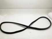 Vorderes rechtes Türdichtungsgummi MERCEDES-BENZ E (W212) E 350 BlueTEC A2126976051