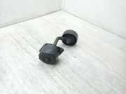 Riemenspanner BMW X3 (E83) 3.0 d 7786880