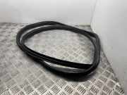 Türgummi links vorne Mercedes-Benz C-Klasse (W204) A2046971651