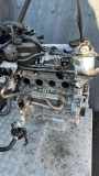 Motor ohne Anbauteile (Benzin) Hyundai Kona I (OS, OSE, OSI) G4LE